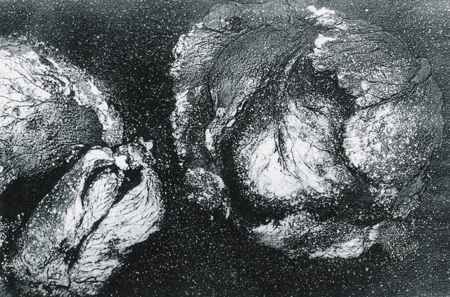 Magda ISACESCU -   Ciclul "Legume cosmice", "Verzele", 18x24 cm, gravura in zinc